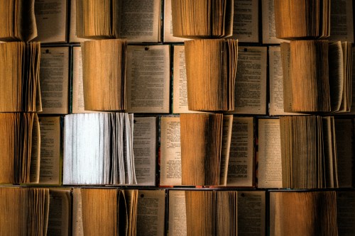 eliza-petrovska-nmvjGI357Us-unsplash