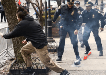 Two Radicals Arrested After Targeting Anti-Islam NYC Protest With Shrapnel-Packed Devices