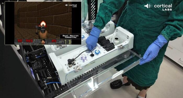 Scientists Train Lab-Grown Human Brain Cells To Play Doom