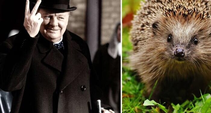 They're Replacing Winston Churchill With A Hedgehog