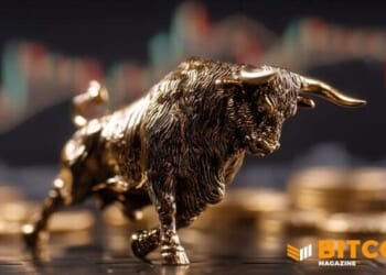 Bitcoin's Ownership Base Is Maturing, Reducing Reliance On Retail: Analysts