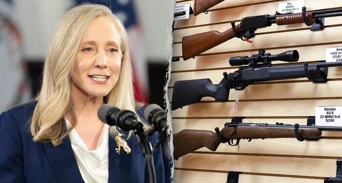 Democrats Claim Thwarted Terror Attack Proves That Americans Don't Need Guns