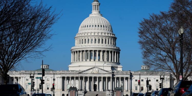 Do We Really Want Our Politicians to Be Uneducated?