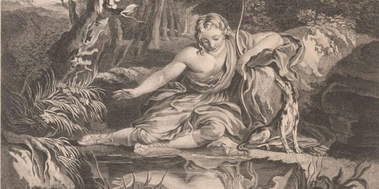 Narcissus,_RP-P-OB-71.742