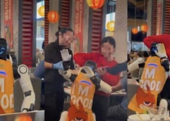 Hot Pot, Hot Mess: Service Robot Goes Berserk In San Jose Dining Room, Must Be Tackled By Staff