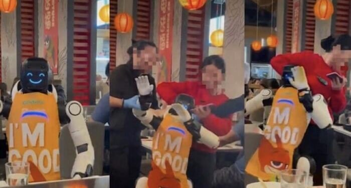 Hot Pot, Hot Mess: Service Robot Goes Berserk In San Jose Dining Room, Must Be Tackled By Staff