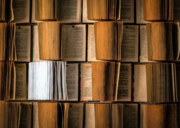 eliza-petrovska-nmvjGI357Us-unsplash