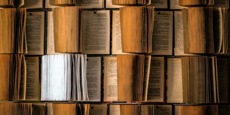 eliza-petrovska-nmvjGI357Us-unsplash