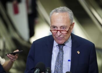 Senate Democrats Are Quietly Plotting To Oust Chuck Schumer