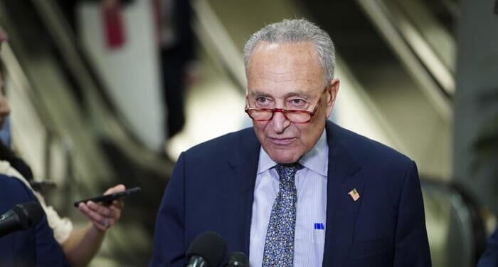Senate Democrats Are Quietly Plotting To Oust Chuck Schumer