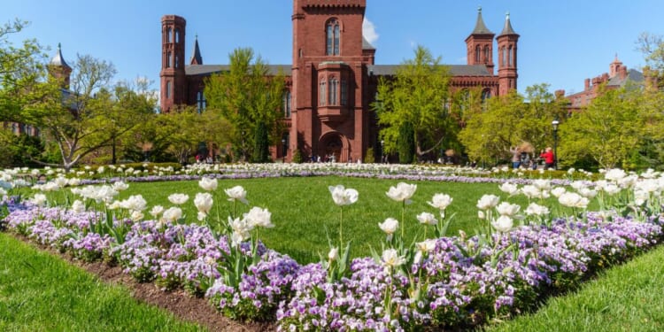 Should We Build a National Women’s Museum?