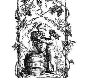 The Founders’ Cups