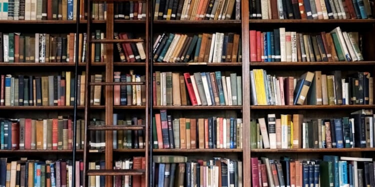 The Mission of Public Libraries