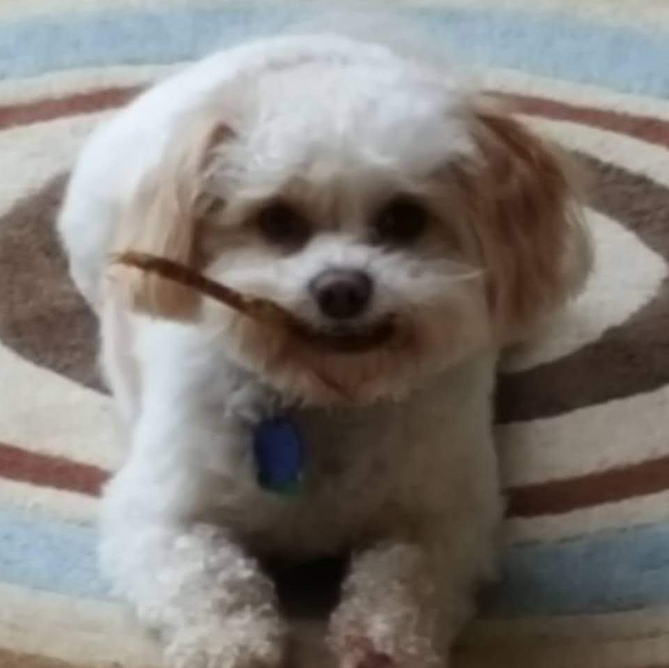 FB_IMG_1530236698143 – Nick Cavuoto