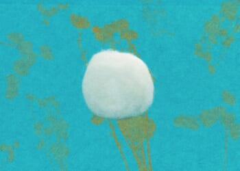 Trump’s Trade War Is Not Over