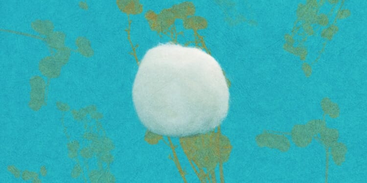 Trump’s Trade War Is Not Over