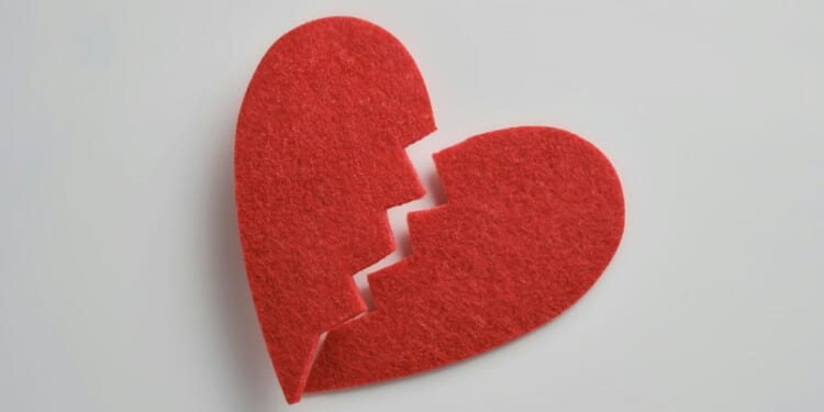 andrej-lisakov-99SZYCrH5zY-unsplash