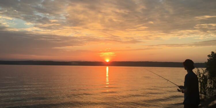 Water and Bones in Raleigh, North Carolina - Alex Hibbs