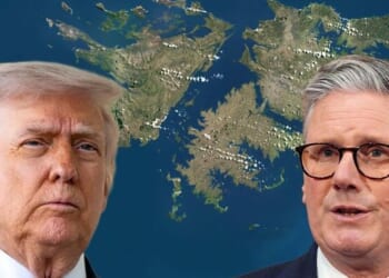 If The British Lose The Falkland Islands It Will Be Their Own Fault