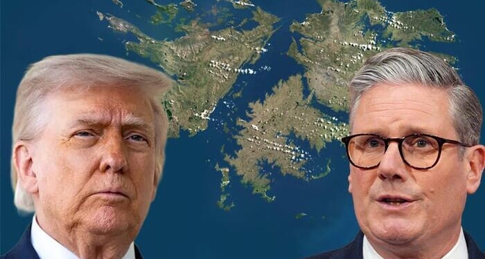 If The British Lose The Falkland Islands It Will Be Their Own Fault
