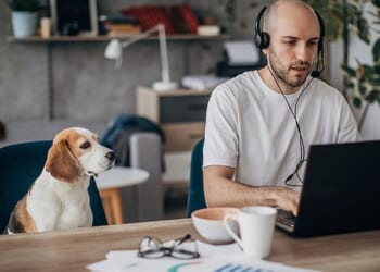 1 In 5 Americans Are Still Working From Home