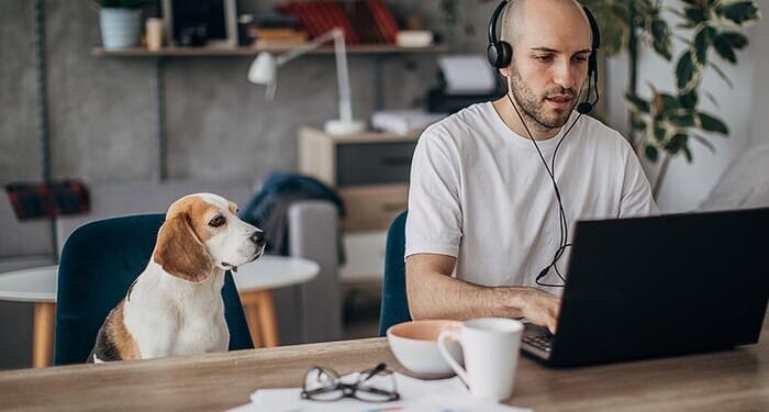 1 In 5 Americans Are Still Working From Home