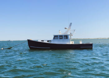 Amicus Brief: Thompson v. Wilson