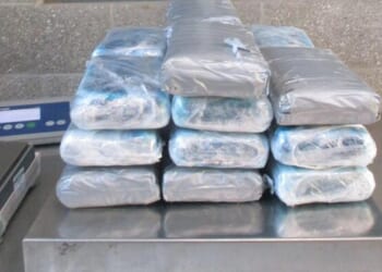 CBP Says It Seized More Than 60 Pounds Of Cocaine From US Citizen At Border