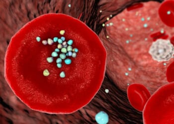 Do We Know Enough About Microplastics to Act? - Grayson Logue