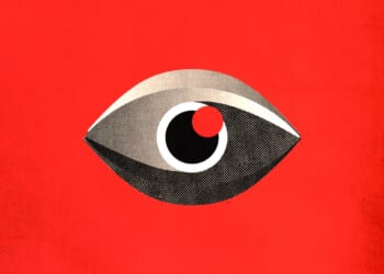 Ducking the New Surveillance - Nathan Beacom