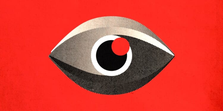 Ducking the New Surveillance - Nathan Beacom