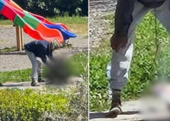 Fury As Nigerian Migrant Caught Cooking Cat In Public Park Next To Children's Playground