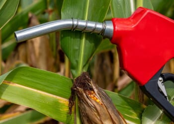 How the White House Can Cut Prices at the Pump—and Elsewhere