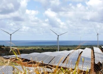 Judge Blocks Trump Admin's Move To Halt Wind, Solar Approvals