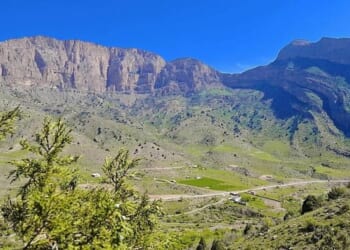 Massive "Treasure Trove" 3,000-Year-Old Silk Road City Discovered In Uzbekistan