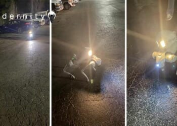 "Muthaf***in’ Robot Dog In The Muthaf***in’ Hood"