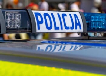 Poland: Pedophilia, Bestiality Scandal Hits Tusk's Party