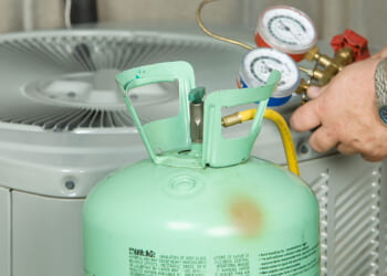 RMS of Georgia v. EPA