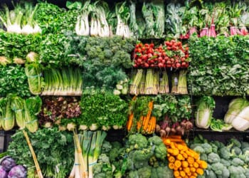 The Bipartisan War on Cheap Food