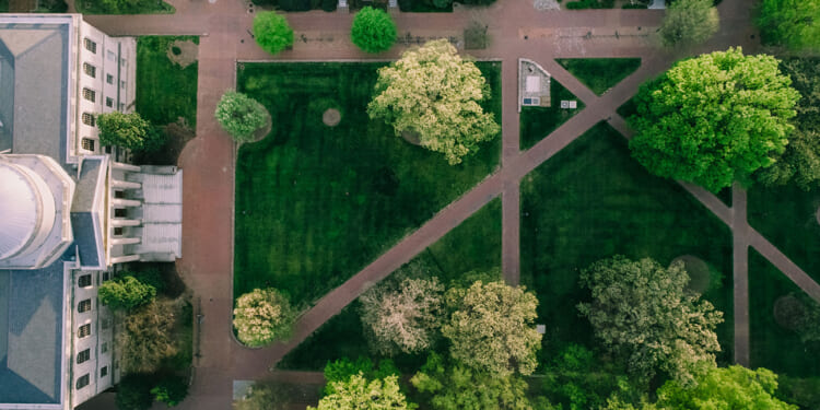 The Power of Governors in Public Higher-Education Reform