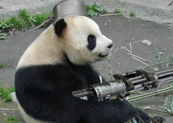 Trump Cryptically References US Intercepted Chinese 'Gift' To Iran