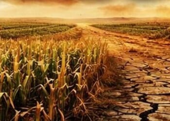 US Farmers Are Facing Two Historic Catastrophes At The Same Time In 2026
