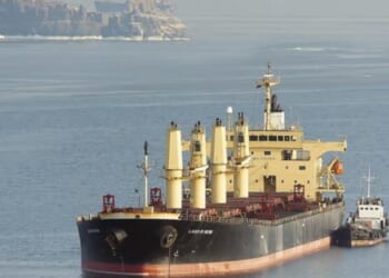 Ukraine Urges Israel To Act Against Russian Ship Carrying 'Stolen' Grain To Haifa Port
