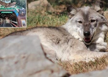 What The Hell Is Wrong With Modern Parents?