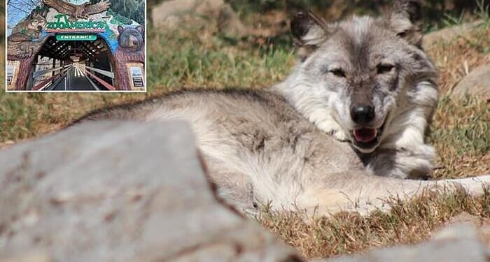 What The Hell Is Wrong With Modern Parents?