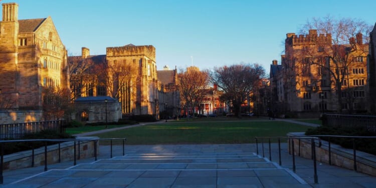 Yale Is the Least of US Higher Education’s Problems