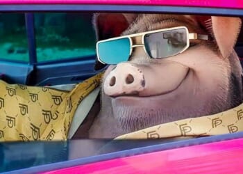 Animal Farm Film A Hollywood Perversion Of Orwell's Anti-Communist Classic