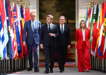 Europe Is Stronger Than Its Critics Predicted - Fenja Tramsen